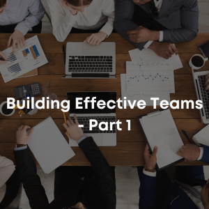 Building Effective Teams course